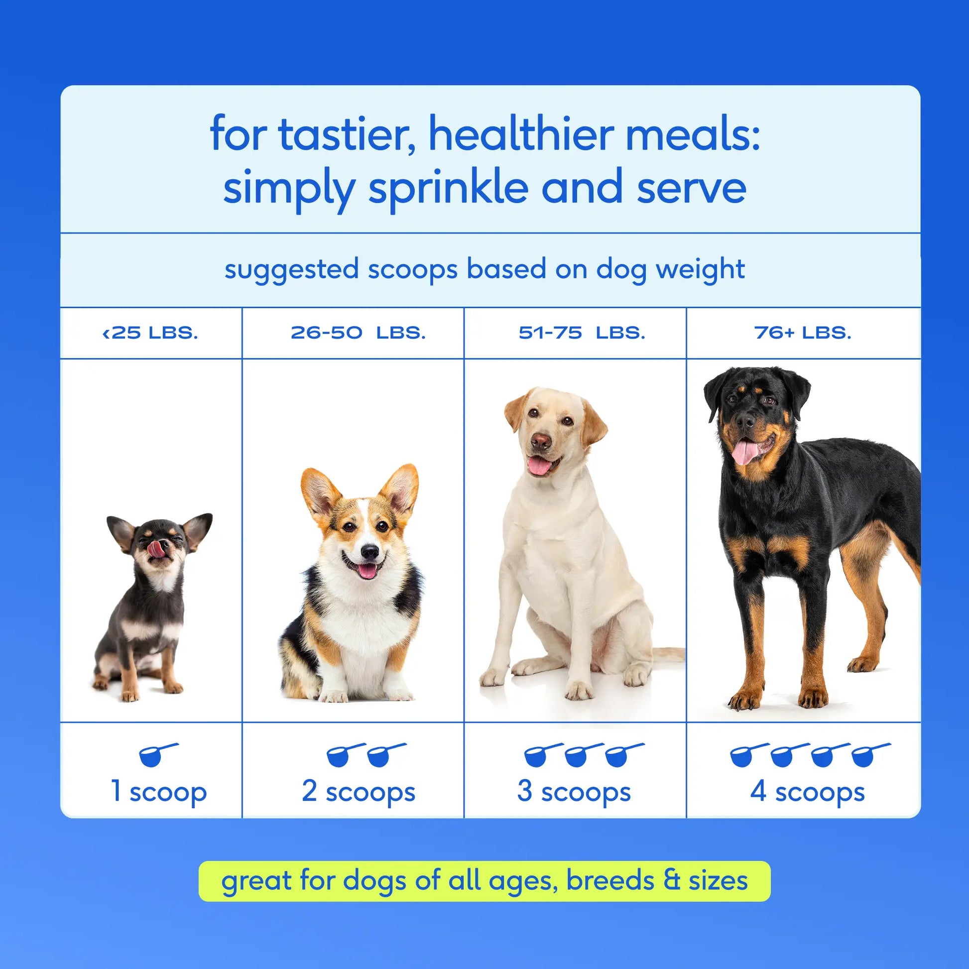 Native Pet the Daily Dog Vitamins & Supplements - 11-In-1 Vitamin Powder for Dog Food Topper - Collagen, Glucosamine, Probiotics, Omega & More- Supports Healthy Gut, Mobility & Overall Health